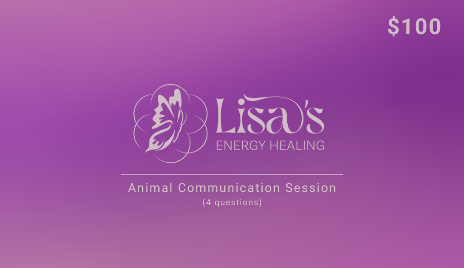 4 Questions Animal Communication Session