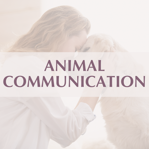 Animal Communication Sessions | Connect with Your Pets – lisasenergyhealing